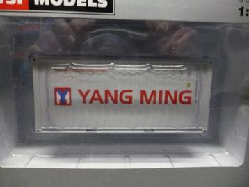 WSI 20 FT container Yang Ming beschikbaar voor biedingen