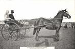 Friesche Krompaneelen Chais. - Groet uit Leeuwarden - 1913 g, Verzenden, Voor 1920, Gelopen, Friesland