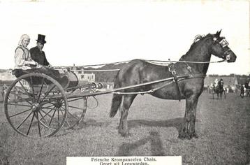 Friesche Krompaneelen Chais. - Groet uit Leeuwarden - 1913 g beschikbaar voor biedingen