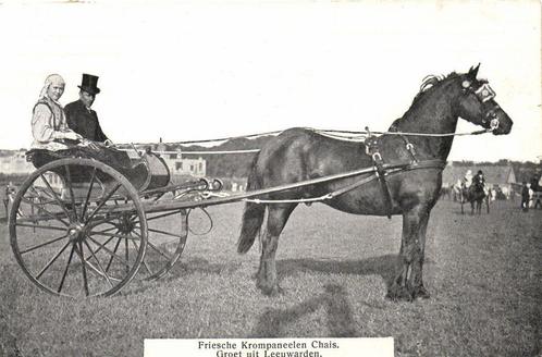 Friesche Krompaneelen Chais. - Groet uit Leeuwarden - 1913 g, Verzamelen, Ansichtkaarten | Nederland, Gelopen, Friesland, Voor 1920
