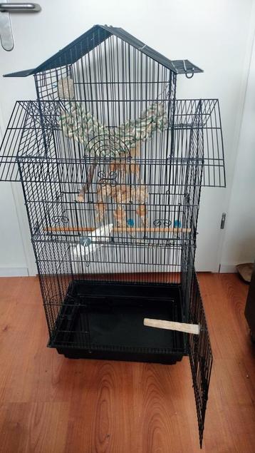 Leuke hoge vogelkooi beschikbaar voor biedingen