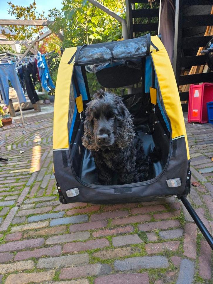 Husky hondenrace hondenfietskar Klarfit, Fietsen en Brommers, Fietsaccessoires | Aanhangers en Karren, Zo goed als nieuw, Hondenkar