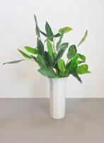 Xl vloer Vaas Rosenthal Tapio Wirkkala Studio Line ´80 100 J, Huis en Inrichting, N, Wit, Aardewerk of Porselein, Ophalen of Verzenden