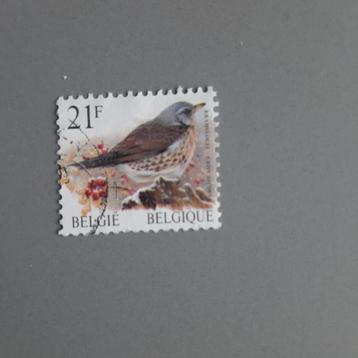 Belgische postzegels vogels Buzin gestempeld beschikbaar voor biedingen