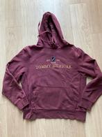 Tommy Hilfiger sweater hoody M, Kleding | Heren, Truien en Vesten, Maat 48/50 (M), Tommy Hilfiger, Ophalen of Verzenden, Zo goed als nieuw