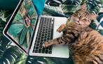 Gezocht ICT Student systeemhulp, Ophalen, Nieuw