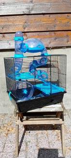 Hamsterkooi, Minder dan 60 cm, Kooi, Minder dan 75 cm, Ophalen of Verzenden