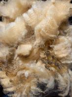 Poll Dorset wol, Hobby en Vrije tijd, Spinnewielen en Spinnen, Overige typen, Gebruikt, Ophalen of Verzenden