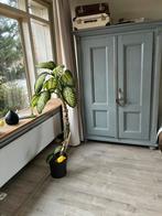 Hele mooie oude stoere grenen kast, Ophalen, Zo goed als nieuw