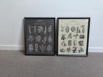 Posters met lijst set van twee keuken, Ophalen, Minder dan 50 cm, Zo goed als nieuw, Minder dan 50 cm