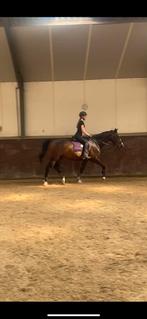 Bijrijder aangeboden,  beginner!, Ophalen of Verzenden