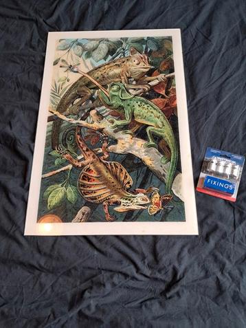 Schilderij  beschikbaar voor biedingen