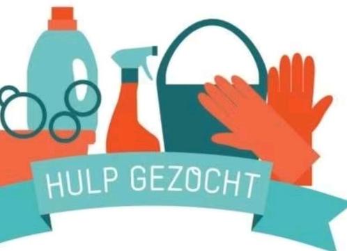 Huishoudhulp gezocht, Elke 14 dagen een frisse wervelwind!, Diensten en Vakmensen, Huishoudelijke hulp, Schoonmaken