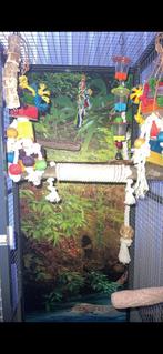 Stevige en mooie  Papegaaien kooi, Dieren en Toebehoren, Ophalen of Verzenden, Zo goed als nieuw, Vogelkooi, Metaal