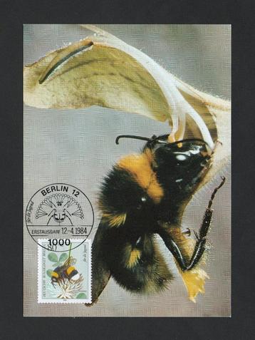 Hommel Bombus Terrestris Aardhommel op Bloesem met Postzegel beschikbaar voor biedingen