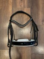 Stang en trens hoofdstel lak trust, Dieren en Toebehoren, Paarden en Pony's | Hoofdstellen en Tuigage, Ophalen of Verzenden, Zo goed als nieuw