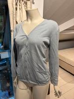 Vest lichtblauw katoen cashmere 40 in goede staat, Kleding | Dames, Ophalen of Verzenden, Gedragen, Maat 38/40 (M), Blauw