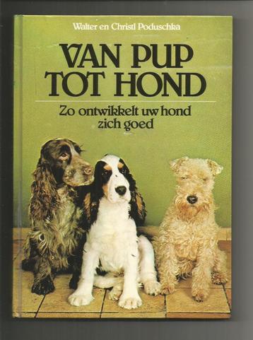 Van pup tot hond - Walter en Christl Poduschka beschikbaar voor biedingen