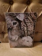 Schaap met lam wandbord, Ophalen of Verzenden, Nieuw