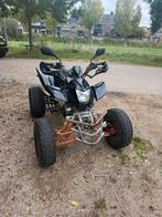 Bashan 250 autokenteken, Ophalen of Verzenden