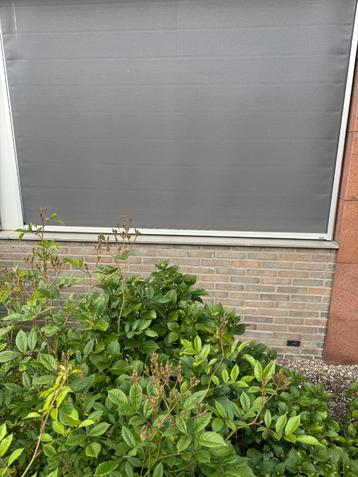 Screen zonwering grijs beschikbaar voor biedingen