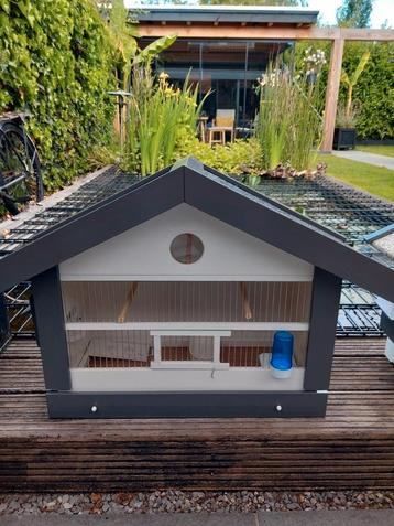 Zang kooi met bastaard of Kanarie  beschikbaar voor biedingen