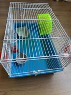 Hamsterkooi, Dieren en Toebehoren, Kooi, Gebruikt, Minder dan 75 cm, Muis