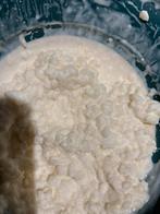 Melk kefir, Diversen, Levensmiddelen, Ophalen of Verzenden