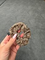Gucci strik scrunchie, Ophalen of Verzenden, Nieuw