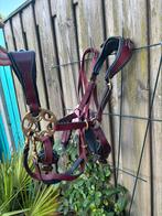 Handgemaakt multibridle voor de XL paarden, Dieren en Toebehoren, Ophalen of Verzenden, Gebruikt, Overige soorten