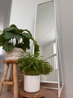 IKEA staande spiegel Knapper wit 48x160, Minder dan 50 cm, Ophalen of Verzenden, Zo goed als nieuw, 150 tot 200 cm