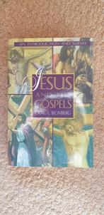 Jesus and the gospels  - Graig L. Blomberg., Ophalen of Verzenden, Zo goed als nieuw