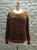 Pescara Trui Maat 40, Maat 38/40 (M), Bruin, Verzenden, Pescara