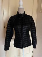 Ariat paardrij jasje maat M, Dieren en Toebehoren, Ophalen of Verzenden, Dressuur, Bovenkleding