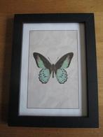 Lijst ( 35 x 26 cm. ) hout, Huis en Inrichting, Woonaccessoires | Lijsten, Minder dan 50 cm, Ophalen of Verzenden, Zo goed als nieuw