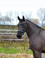 Verzorgster/ bijrijder, Ophalen of Verzenden