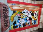 adv9696 donald duck weekblad bijlage 85, Boeken, Ophalen, Gelezen