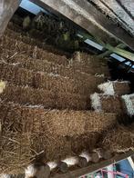 Kleine pakjes stro en graszaadhooi te koop, Dieren en Toebehoren, Ophalen, Nieuw