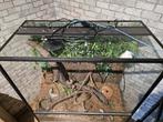 Compleet terrarium, Dieren en Toebehoren, Ophalen, Zo goed als nieuw, Terrarium of Paludarium