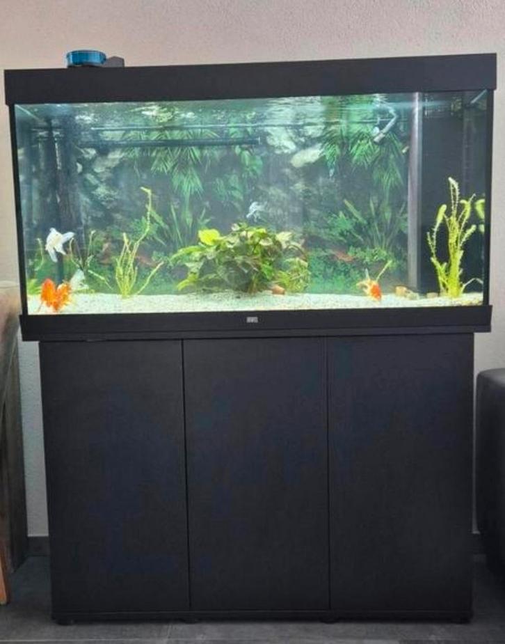 Juwel Rio 350, Dieren en Toebehoren, Vissen | Aquaria en Toebehoren, Zo goed als nieuw, Leeg aquarium, Ophalen of Verzenden