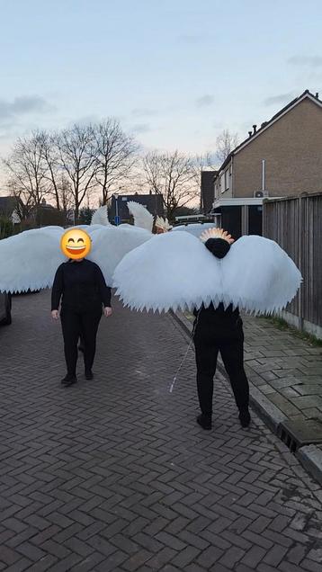 10 vleugels met ledverlichting.  beschikbaar voor biedingen