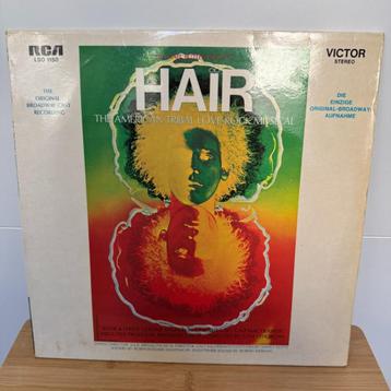 LP HAIR beschikbaar voor biedingen