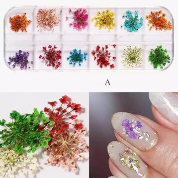 Gedroogde Bloemen Natuurlijke Bloemen in doos. Nagels/Nail. beschikbaar voor biedingen