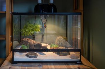 Terrarium incl. toebehoren beschikbaar voor biedingen