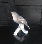 Goebel vogel spotlijster spotvogel mockingbird, Ophalen of Verzenden, Zo goed als nieuw