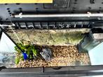 Jewel aquarium, Dieren en Toebehoren, Vissen | Aquaria en Toebehoren, Ophalen of Verzenden, Zo goed als nieuw