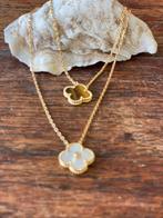 Prachtige ketting en oorbellen klaver ( Stainless steel), Ophalen of Verzenden, Nieuw