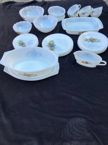 Arcopal Servies - Zo goed als nieuw beschikbaar voor biedingen