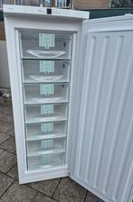 2 keer vrieskast liebherr 7 laden / vriezer 4 laden, Gebruikt, Minder dan 85 cm, Energieklasse A of zuiniger, Ophalen