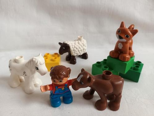 Duplo Ville set 5646 Dierenverzorging Boerderijdieren, Kinderen en Baby's, Speelgoed | Duplo en Lego, Gebruikt, Duplo, Ophalen of Verzenden